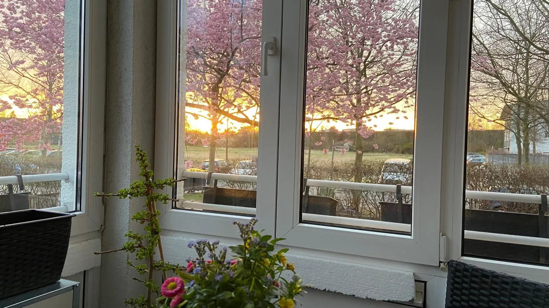 Nahe Airport Ber/ Adlershof Apartment Schoenefeld