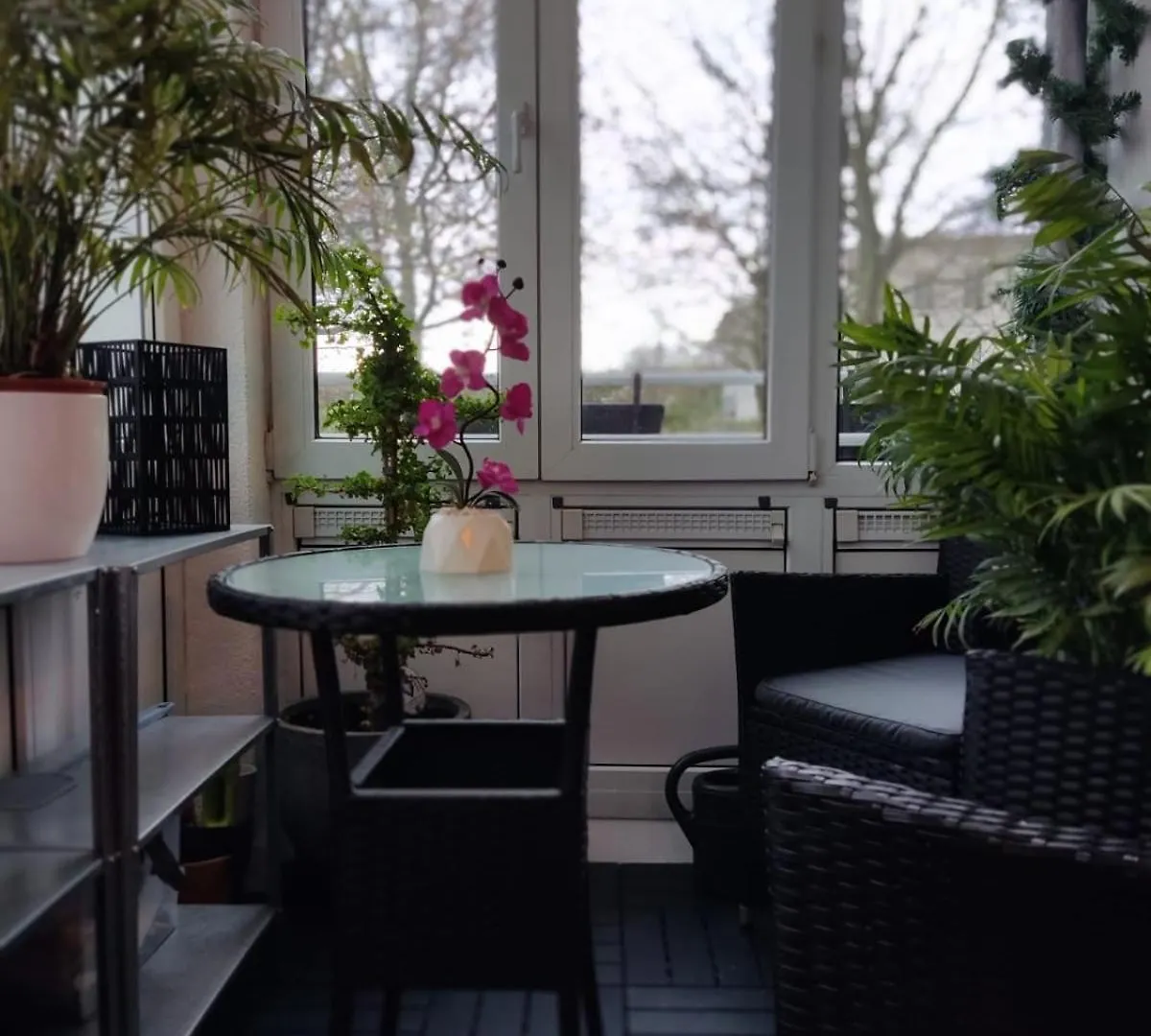 Nahe Airport Ber/ Adlershof Apartment Schoenefeld 0*,
